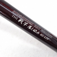 THE戦竿落とし込み 40/45P